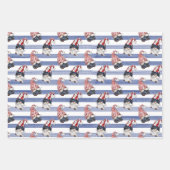 Fourth Of July Wrapping Paper Flat Sheet Set of 3 (Voorkant)
