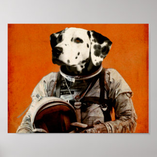 Fout: geen optie poster