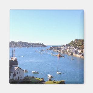 Fowey Magneet