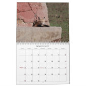 Fox 2011 kalender (Mar 2027)