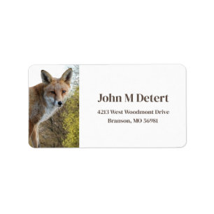 Fox-adres Etiket