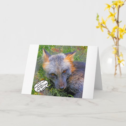 Fox avec carte d'attitude (Fleur jaune)