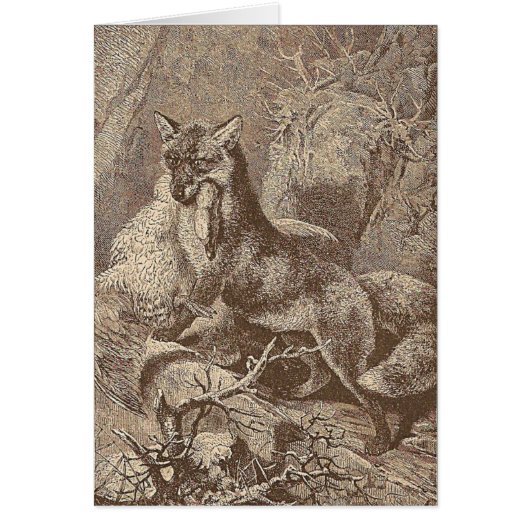 Fox Avec Sa Mort (Devant)