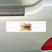 Fox Borrow Bumpersticker (Op auto)