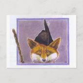 Fox Briefkaart Asturian Fox Asturias Spanje (Voorkant)