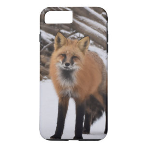 Fox iPhone 8 Plus / 7 Plus Hoesje