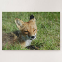 Fox Closeup, Brooks Herfsten Alaska Legpuzzel