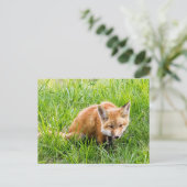Fox Cub Briefkaart (Staand voorkant)