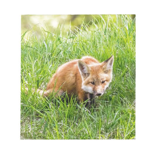 Fox Cub Notitieblok (Voorkant)
