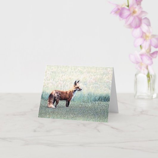 Fox dans l'herbe - Carte de voeux vierge (Orchidée)