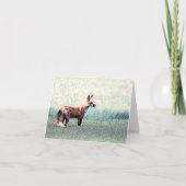 Fox dans l'herbe - Carte de voeux vierge (Devant)
