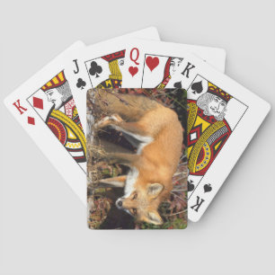 Fox Deck van speelkaarten