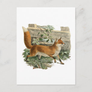 Fox door een omheining briefkaart