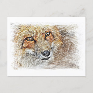 Fox Drawing Briefkaart