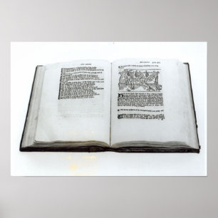 Fox en druiven poster