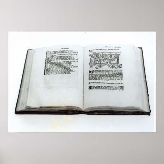 Fox en druiven poster (Voorkant)