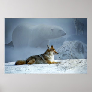 Fox en Friends Poster