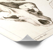 Fox en Hyena Skulls Veterinary Anatomy Print (Hoek)