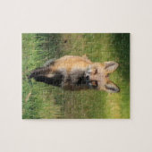 Fox Friend Puzzle Legpuzzel (Horizontaal)