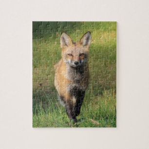 Fox Friend Puzzle Legpuzzel