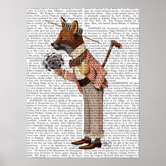 Fox in Boater Poster (Voorkant)