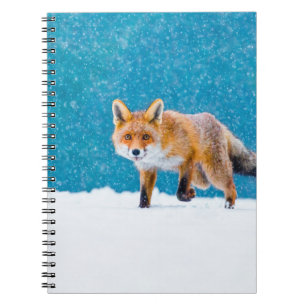 Fox in de winter. Rode vos, Vulpes vulpes, sluipsc Notitieboek