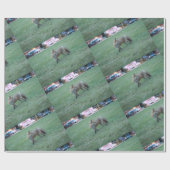 Fox in groen gras in het Thousand Oaks Park in San Cadeaupapier (Vlak)