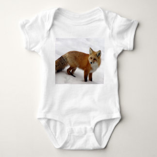 Fox in sneeuw romper