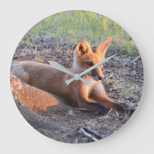 Fox in Sunlight Grote Klok