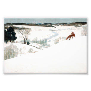 Fox in the Snow van Newell Convers Wyeth Foto Afdruk