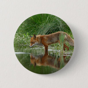 Fox in vijver ronde button 5,7 cm