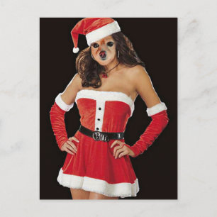 Fox is de helper van de Kerstman Feestdagenkaart