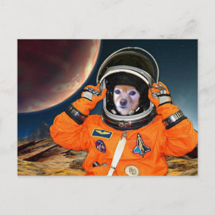 Fox is een astronaut #2 briefkaart