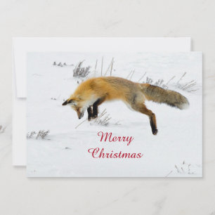 Fox Jumping Sneeuw Foto Kerst Flat Feestdagenkaart