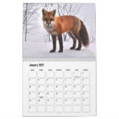 Fox Kalender (Jan 2027)