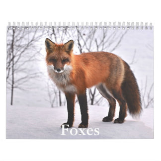 Fox Kalender