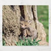 Fox Kit in de Hudson-vallei Bier Etiket (Enkel label)