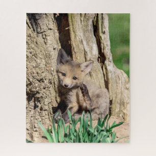 Fox Kit in de Hudson-vallei Legpuzzel