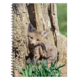 Fox Kit in de Hudson-vallei Notitieboek