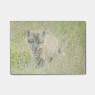 Fox Kit Post-it® notes 4 x 3