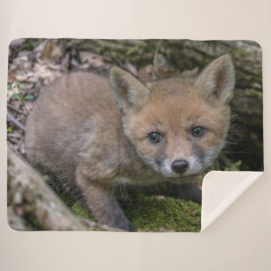 FOX KIT SHERPA DEKEN