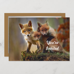 Fox Kits Foto Birthday Kaart