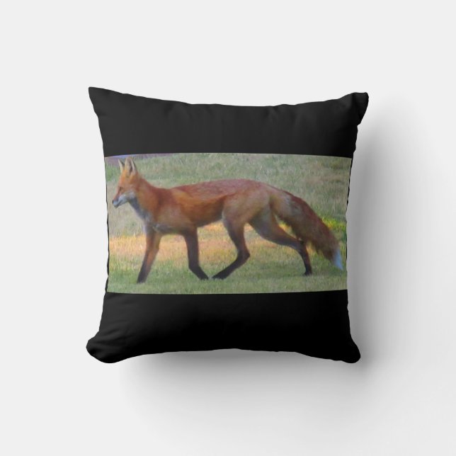 Fox Kussen (Voorkant)