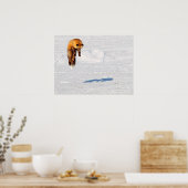 Fox Leap | Yukon, Canada Poster (Keuken)
