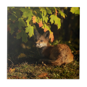 Fox Leaves en Shadows Tegeltje