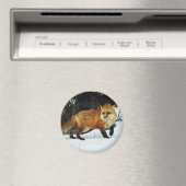 Fox Magneet (Insitu (Vaatwasser))