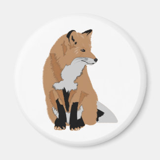 Fox Magneet