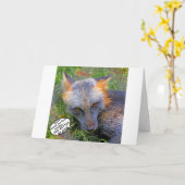 Fox met Attitude Kaart (Gele Bloem)