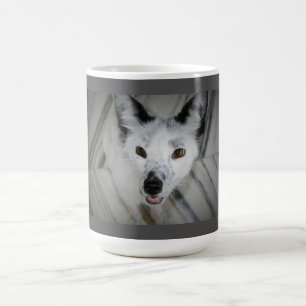 Fox-Mok - Boris Koffiemok