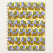 Fox named Dice (Devant)